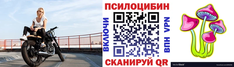 Псилоцибиновые грибы Magic Shrooms  Купить  Татарск 
