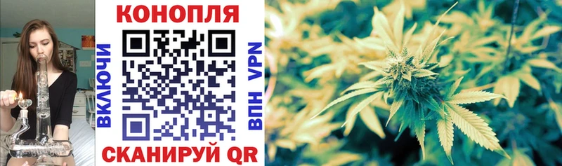 Конопля семена  Купить  Татарск 